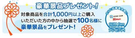 画像ギャラリー No.003のサムネイル画像 / ネットカフェ限定のキャンペーン「PayNetCafe2017 夏の大納涼祭!」が開催