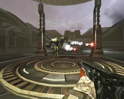 ꡼ No.005 | AVAסSUMMER FESTIVAL 2021 2Ƥ򳫺