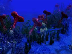 ꡼ No.002 | ֥ΡƥץΥååȤˡ־ȥפʤɤɲ