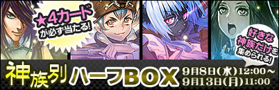 ���������꡼ No.005�Υ���ͥ������ / �֥���ƥ���ͥåȡץ쥢4�����ɤ�ɬ�����ä���BOX�����䳫��