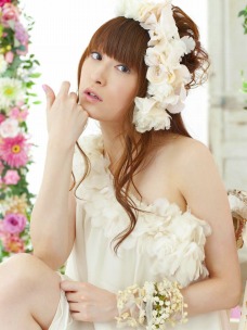 ���������꡼ No.001�Υ���ͥ������ / �֥��祳�åȥ��ɡס���ͥ����¼�椫�ꤵ��ȤΥ������åפ򥹥�����