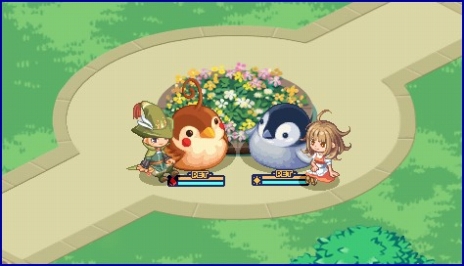 ���������꡼ No.004�Υ���ͥ������ / �֥��祳�åȥ��ɡס��֥饦���Ǥ˺���30�ͤ����ޤ��¿�Ϳ����ӡ��֥��ߥ�˥ƥ����פ�����������������������俷�ڥåȤ��о�