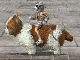 画像ギャラリー No.012のサムネイル画像 / 「三国群英伝ONLINE」馬専用のアバターが手に入る新商品がモールに登場