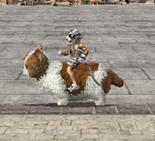 ꡼ No.003 | ֻ񷲱ONLINEסŵܤΥХåڡ»