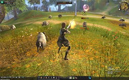 ꡼ No.017 | ȤˤPRANİ ֥ 饤ԥץ쥤ݡ