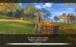 ���������꡼ No.018�Υ���ͥ������ / ��PR��MMORPG̤�и��Ǥ�����ʤ�����ǯ��ǯ�Ϥϡ֥����� ����饤��פǲİ����ץ��˽в�ä��㤪��