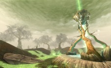 ꡼ No.035Υͥ / ֥ 饤ס615˼»ܤͽꤹ緿åץǡȡ2Ĥμ ƥ᥹פξ塣ʥʿޥåפϪ