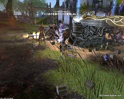 ꡼ No.012 | ֥ 饤 סȤγۤϥץ쥤ƥĤޤ緿åץǡȡַ ʡפ315˼