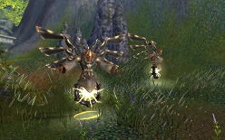 ꡼ No.018Υͥ / ֥ 饤 ס緿åץǡȡַ ʡפ»ܡƥġ֥󥿥䶯פ5ݤȤʤä臘絬PvE