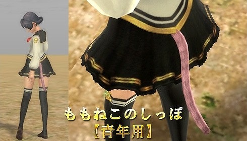 ꡼ No.008Υͥ / ֥ 饤 ס饯ӤܤʬAIKA BATTLE RANKINGפȤ