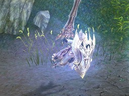 ꡼ No.013 | PvEƥĤȥ󥸥ɲäˡ֥ 饤 סȷ  2åץǡȡθݡ