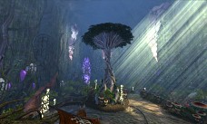 ꡼ No.005 | 褤˥塼֥ 饤פΥ륿   ޡפءƥĤξܺپ