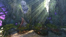 ꡼ No.009 | 褤˥塼֥ 饤פΥ륿   ޡפءƥĤξܺپ