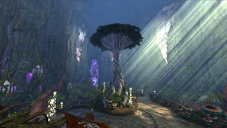 ꡼ No.014 | 褤˥塼֥ 饤פΥ륿   ޡפءƥĤξܺپ