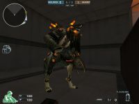 ꡼ No.005Υͥ / Ȥƨ뤳1ǯ֥եסѥǥߥå⡼ɼ1ǯǰƿȤȿޥåפ519˼