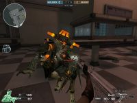 ꡼ No.007Υͥ / Ȥƨ뤳1ǯ֥եסѥǥߥå⡼ɼ1ǯǰƿȤȿޥåפ519˼