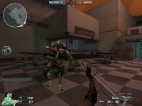 ꡼ No.008Υͥ / Ȥƨ뤳1ǯ֥եסѥǥߥå⡼ɼ1ǯǰƿȤȿޥåפ519˼