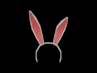 ���������꡼ No.016�Υ���ͥ������ / �֥������ե������סȥ������ɤ�����������Ȥä����ܤ򽸤�褦