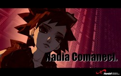 ꡼ No.010 | 饤󥢥FREEJACKסʥȥåοǧǤ롤ץ⡼ࡼӡ