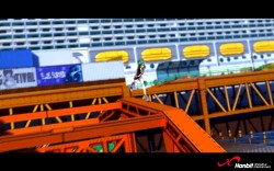 ꡼ No.019 | 饤󥢥FREEJACKסʥȥåοǧǤ롤ץ⡼ࡼӡ