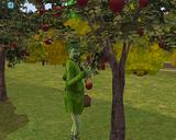 ザ・シムズ2 シーズンズ! データセット