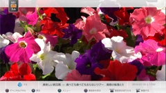 ꡼ No.013 | 쥹ݥ󥹤ɤˤäȤPS3ϥǥ쥳åȡtorneסθʬäܺپϤ