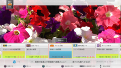 ꡼ No.014 | 쥹ݥ󥹤ɤˤäȤPS3ϥǥ쥳åȡtorneסθʬäܺپϤ