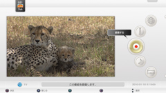 ꡼ No.015 | 쥹ݥ󥹤ɤˤäȤPS3ϥǥ쥳åȡtorneסθʬäܺپϤ