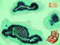 ������#001�Υ���ͥ���/�ֲ��Хץ쥤�ץץ쥤��ݡ��ȡ�ñĴ������̣�ʺ�Ȥ����򤬤��ͤ˥�������Ρ������٤�����å�����