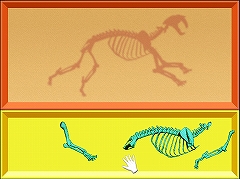 ������#018�Υ���ͥ���/�ֲ��Хץ쥤�ץץ쥤��ݡ��ȡ�ñĴ������̣�ʺ�Ȥ����򤬤��ͤ˥�������Ρ������٤�����å�����