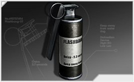 画像ギャラリー No.010のサムネイル画像 / FPS「STING」階級システムとCBT初期に実装される武器が公開