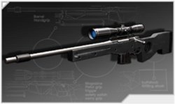 ������#010�Υ���ͥ���/��STING��CBT��6��25��18��00��곫�ϡ��������ȥѥå�������ȯ���7��24������