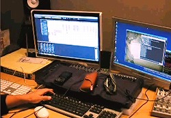 ���������꡼ No.003�Υ���ͥ������ / ��STING�ץץ쥵���Ȥ����������ץ��������ʤ�̤���ư�����