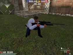 ꡼ No.016 | STINGס͵ޥåס֥եƥפȥե꡼եɥ⡼ɤǤͷ٤褦ˡХGMβ