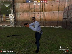 ꡼ No.019 | STINGס͵ޥåס֥եƥפȥե꡼եɥ⡼ɤǤͷ٤褦ˡХGMβ