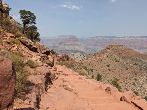 ꡼ No.006 | Access Accepted804󡧡Microsoft Flight Simulator 2024פμǡʪΥåȵĤ