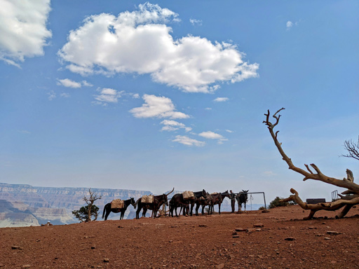 ꡼ No.007 | Access Accepted804󡧡Microsoft Flight Simulator 2024פμǡʪΥåȵĤ