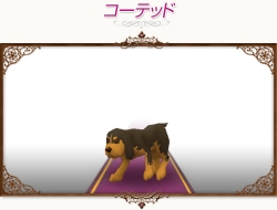 ���������꡼ No.003�Υ���ͥ������ / �֥��������ȥ����ȡץ�����Ȥ����������ꥢ��ʤɤ��֤ĥڥå��о�