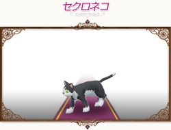 ���������꡼ No.005�Υ���ͥ������ / �֥��������ȥ����ȡץ�����Ȥ����������ꥢ��ʤɤ��֤ĥڥå��о�