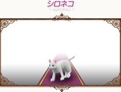 画像ギャラリー No.015のサムネイル画像 / 「コンチェルトゲート」猫キャラ勢揃いのスペシャルチェルトくじ発売