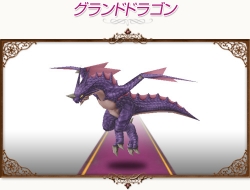 ꡼ No.005 | ֥ȥȡץڥȤڥåȤо