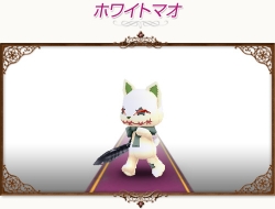 ꡼ No.009 | ֥ȥȡץڥȤڥåȤо