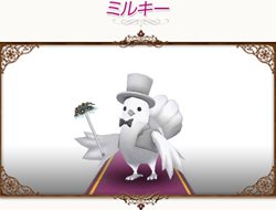 ꡼ No.025 | ֥ȥȡƤ祤٥ȡSummer Symphonyפ