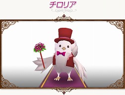 ꡼ No.036 | ֥ȥȡץڥȤˡƳΥåȡפʤɤɲ