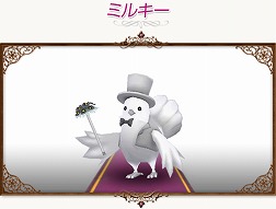 ꡼ No.041 | ֥ȥȡץڥȤˡƳΥåȡפʤɤɲ