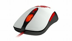 ꡼ No.005 | E3 2012SteelSeriesWoWסGuild Wars 2סDOTA 2פʤɤȤΥʤȯɽE3ǲäKim RomؤΥ硼ȥ󥿥ӥ塼Ǻ