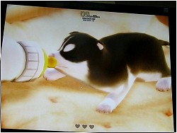 ꡼ No.008 | G200815ϤĤ˥ץ쥤֥ˤʤä֥ϥץ쥹GǤ2Υץ쥤⡼ɤࡼӡ