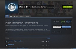 ꡼ No.001Υͥ / ӥ󥰤˥򥹥ȥ꡼ߥ󥰡SteamפοǽIn-Home StreamingפΦ¥ƥȤǯ˼»