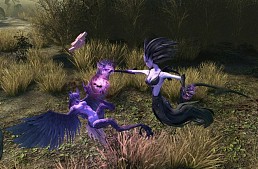 ꡼ No.031 | ϥSteam 24󡧲ȲRiftȤĥǥȥإ륷󥰶