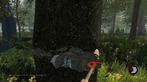 ꡼ No.020Υͥ / ϥSteam 25˻ҤλλФ100ˡ